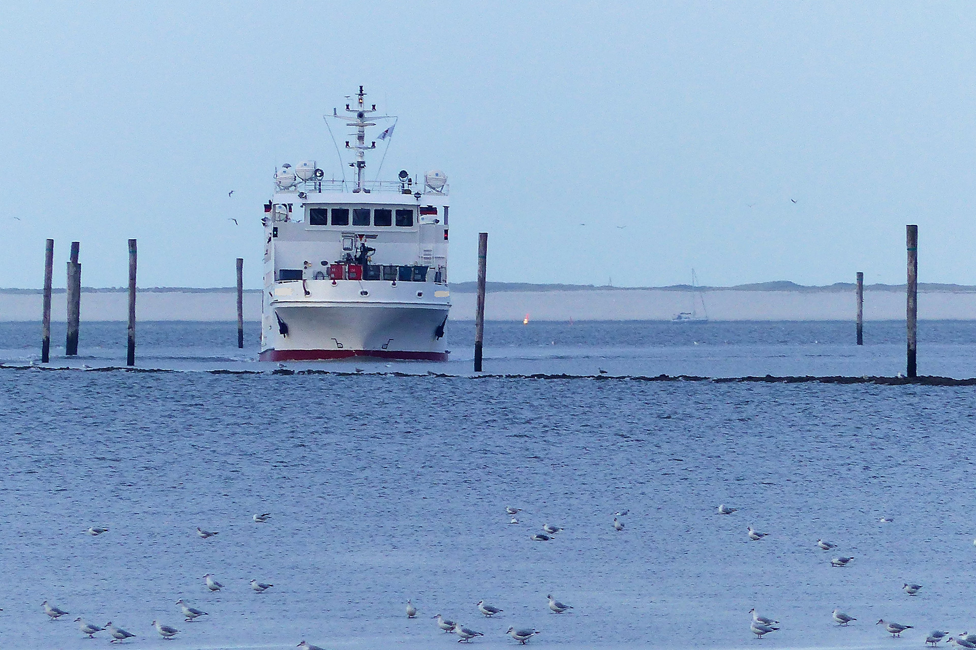 Die Fähre, ein weißes Schiff, mit dem Bug zum Betrachter in einem Priel im Wattenmeer vor Wangerooge.