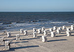 Blick über den Sandstrand aufs Meer, vor dem Wasser stehen viele weiße Strandkörbe, die alle zur Sonne ausgerichtet sind