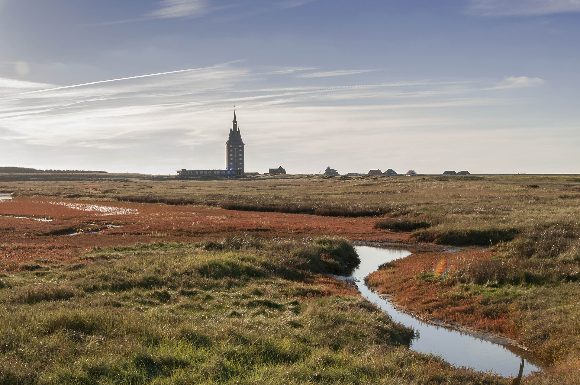 Blick über flache Wiesen auf einen Turm im Hintergrund.