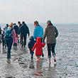 Eine Gruppe von Menschen wandert durch das Watt. Ihre Hosen sind hochgekrempelt.